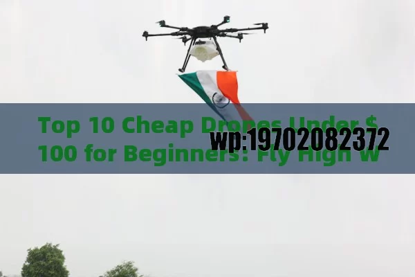 Top 10 Cheap Drones Under $100 for Beginners: Fly High Without Breaking the Bank