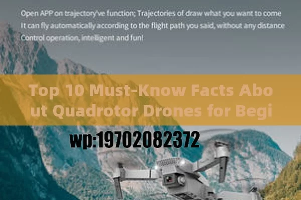 Top 10 Must-Know Facts About Quadrotor Drones for Beginners and Enthusiasts