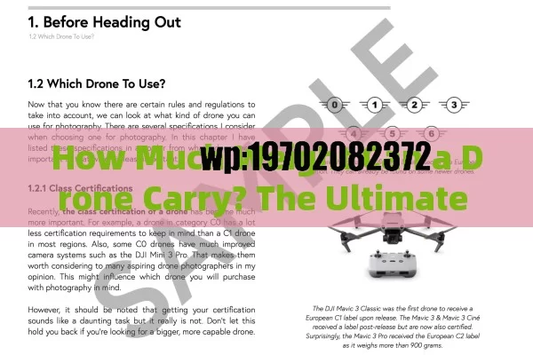 How Much Weight Can a Drone Carry? The Ultimate Guide