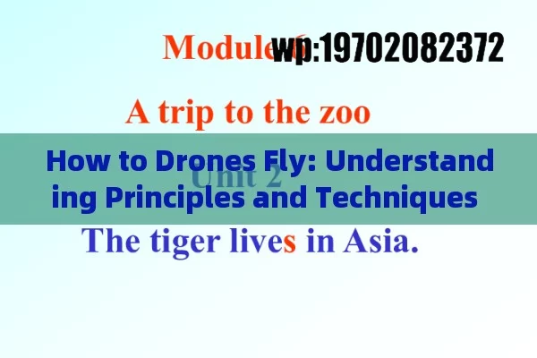 How to Drones Fly: Understanding Principles and Techniques for Optimal Flight