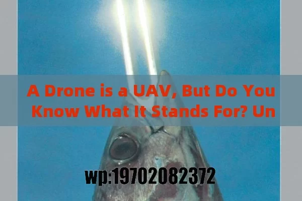 A Drone is a UAV, But Do You Know What It Stands For? Understanding Drones and UAVs