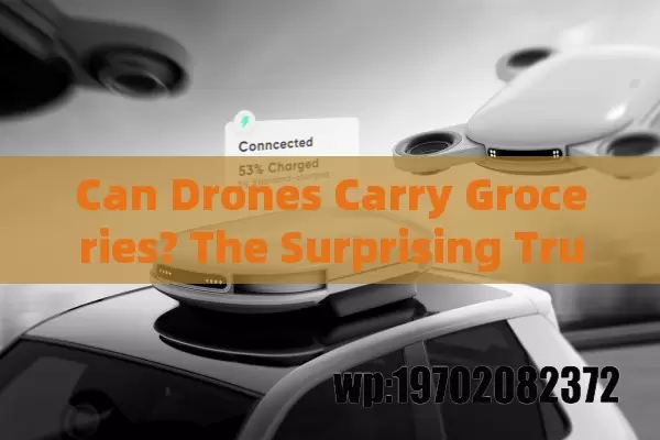 Can Drones Carry Groceries? The Surprising Truth About Drone Payloads