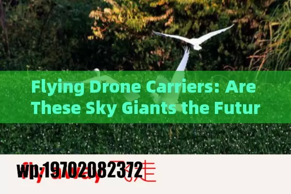 Flying Drone Carriers: Are These Sky Giants the Future of Warfare and Delivery?